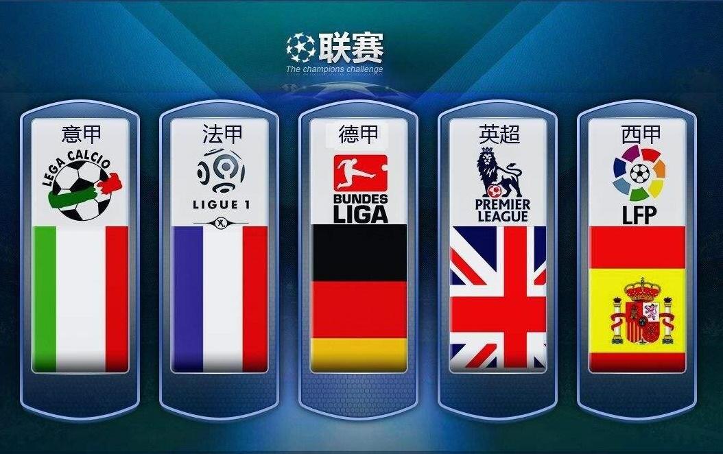 不仅会